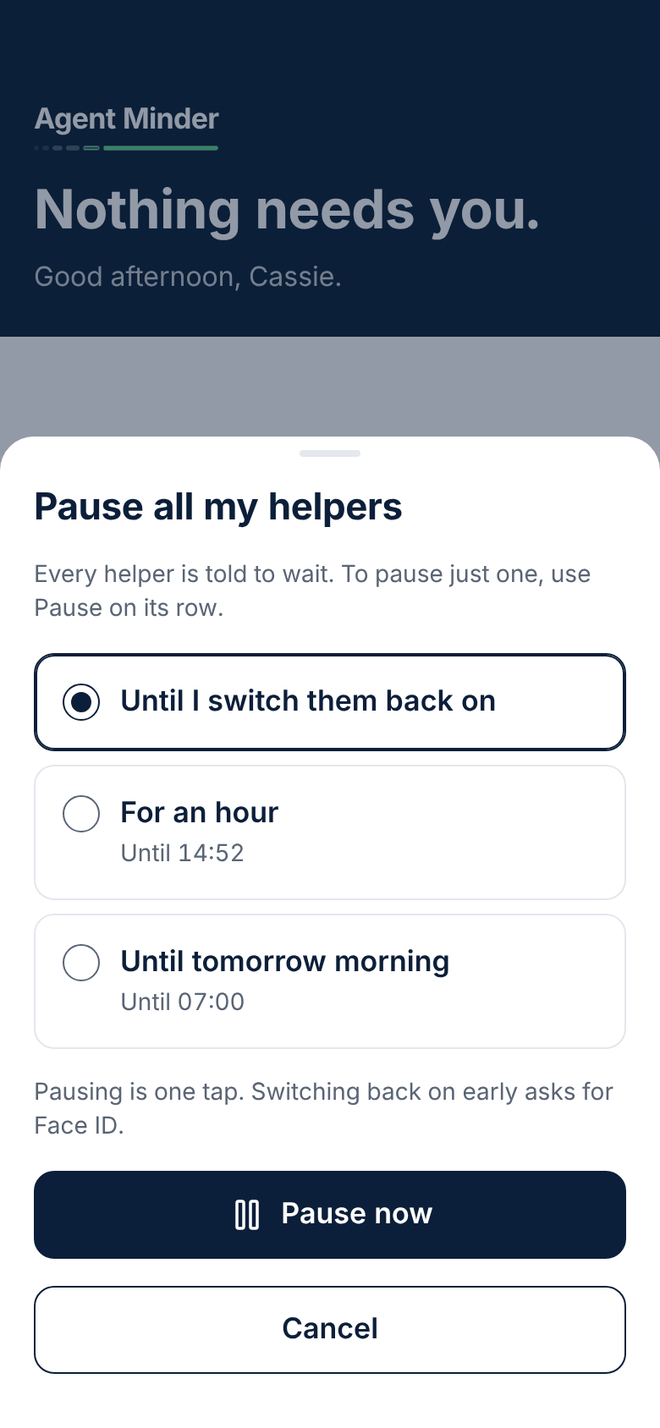 Design of the Pause screen